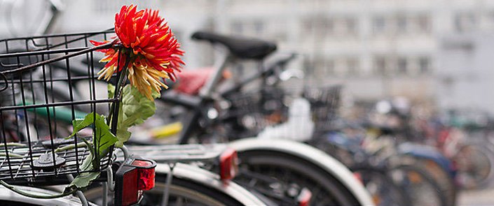 Netto Marken-Discount